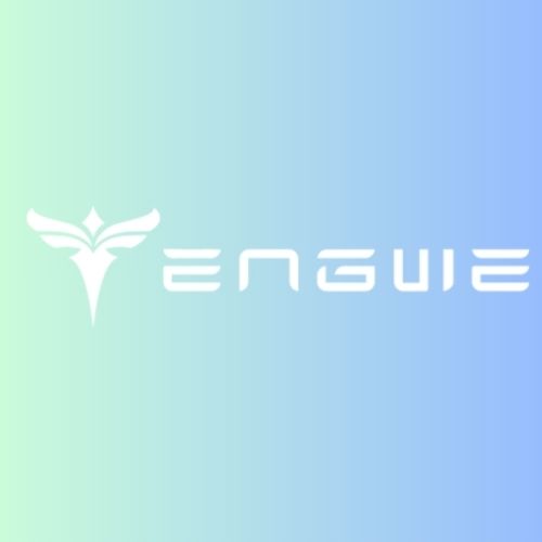 engwe-bikes Logo